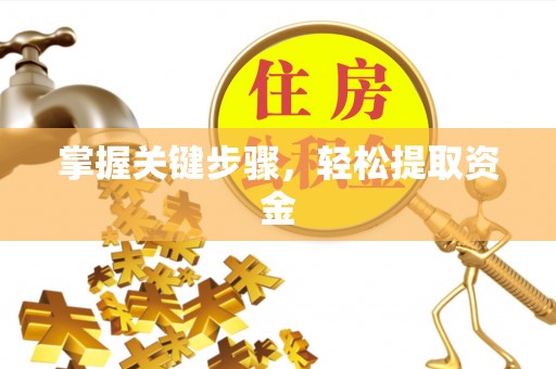 三都掌握关键步骤，轻松提取资金