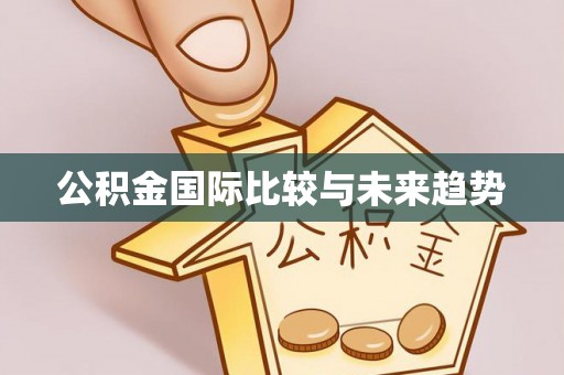 孟连公积金国际比较与未来趋势