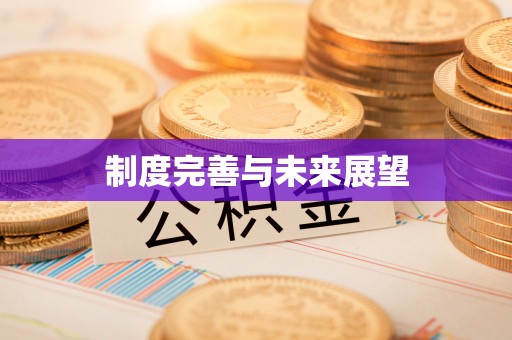 惠水制度完善与未来展望