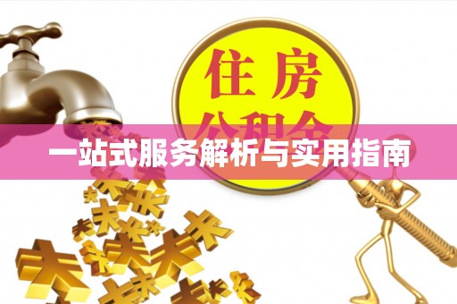 南关一站式服务解析与实用指南