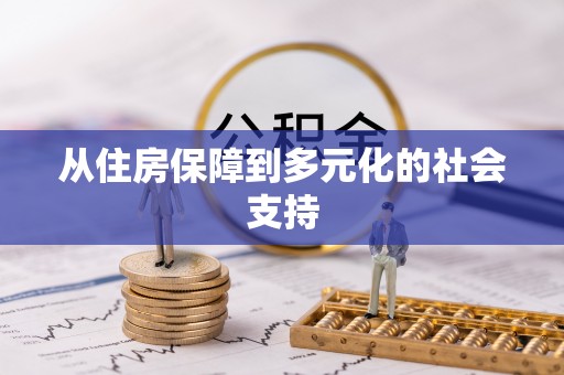 临澧从住房保障到多元化的社会支持